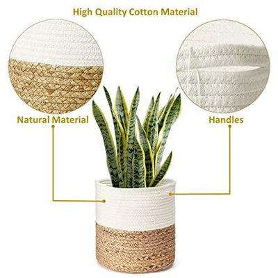 Rope Plant Basket | Woven Indoor Planter - Inntinn.in