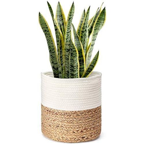 Rope Plant Basket | Woven Indoor Planter - Inntinn.in