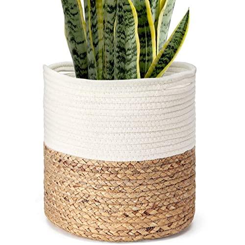Rope Plant Basket | Woven Indoor Planter - Inntinn.in