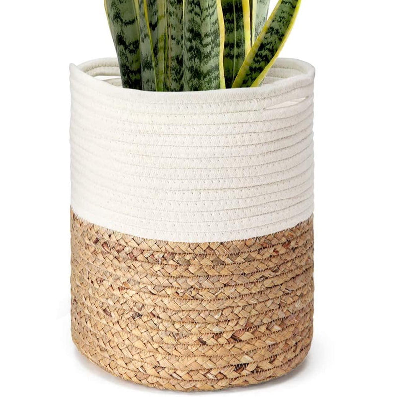 Rope Plant Basket | Woven Indoor Planter - Inntinn.in