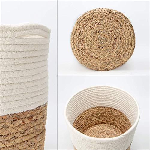Rope Plant Basket | Woven Indoor Planter - Inntinn.in