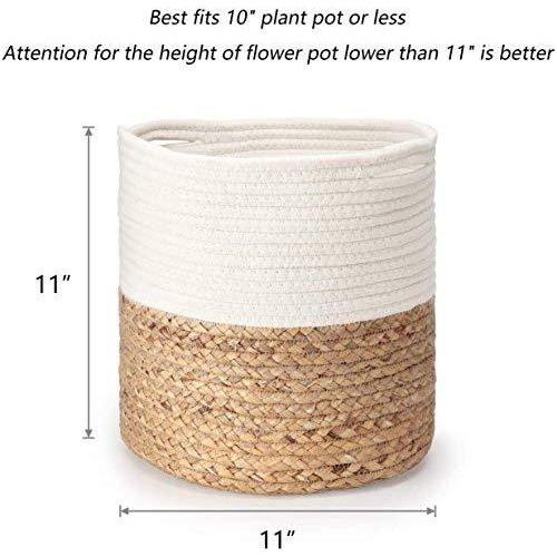 Rope Plant Basket | Woven Indoor Planter - Inntinn.in