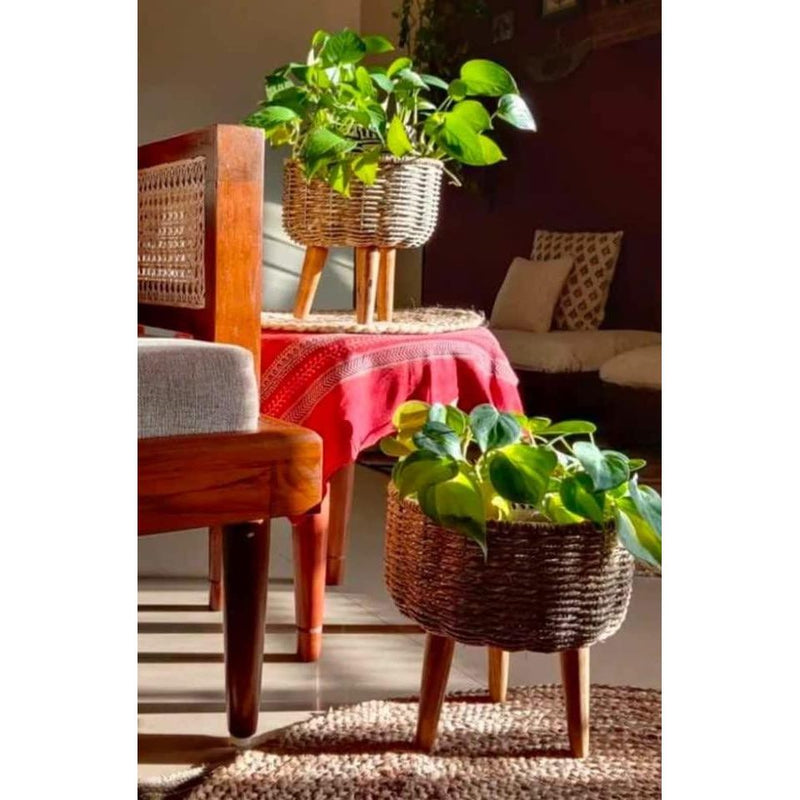 Seagrass Jute Planter Stand - Set of 3 (Natural) - Inntinn.in