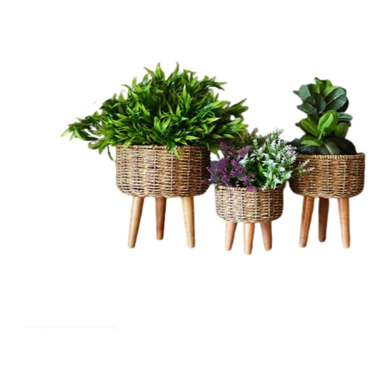 Seagrass Jute Planter Stand - Set of 3 (Natural) - Inntinn.in