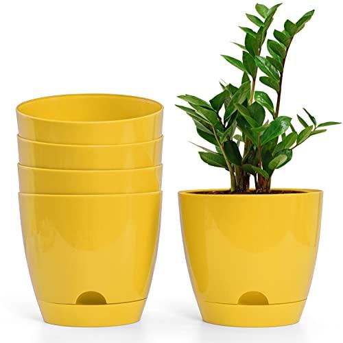 Self Watering Pot (Pack of 5) - Inntinn.in