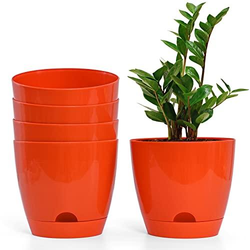 Self Watering Pot (Pack of 5) - Inntinn.in