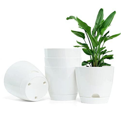 Self Watering Pot (Pack of 5) - Inntinn.in