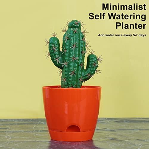 Self Watering Pot (Pack of 5) - Inntinn.in