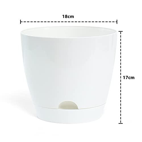Self Watering Pot (Pack of 5) - Inntinn.in