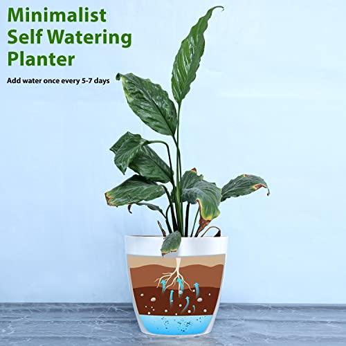 Self Watering Pot (Pack of 5) - Inntinn.in