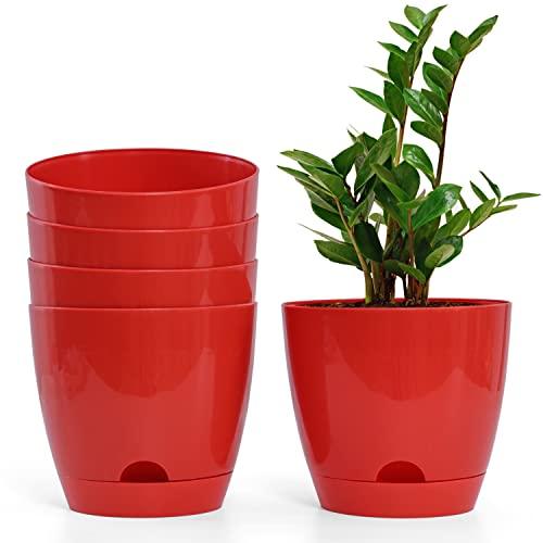 Self Watering Pot (Pack of 5) - Inntinn.in