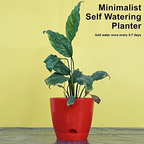 Self Watering Pot (Pack of 5) - Inntinn.in