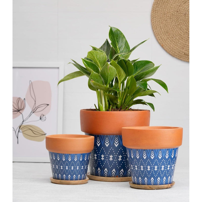 Terracotta Pots for Home Decor, Set of 3 with Wooden Bottom Trays - Inntinn.in