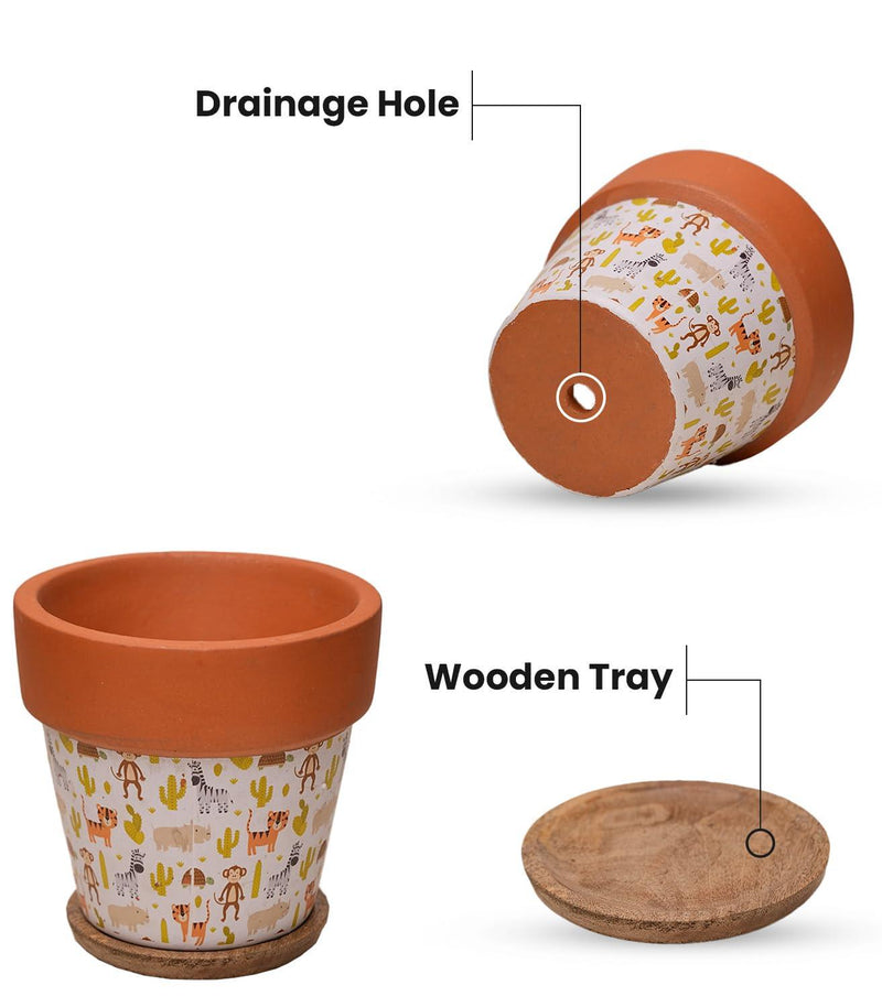 Terracotta Pots for Home Decor, Set of 3 with Wooden Bottom Trays - Inntinn.in