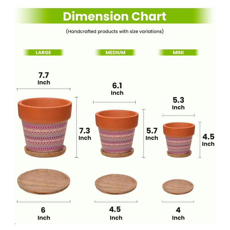 Terracotta Pots for Home Decor, Set of 3 with Wooden Bottom Trays - Inntinn.in