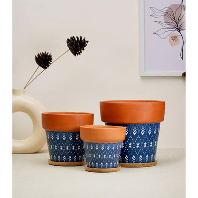 Terracotta Pots for Home Decor, Set of 3 with Wooden Bottom Trays - Inntinn.in