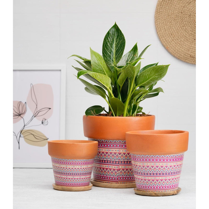 Terracotta Pots for Home Decor, Set of 3 with Wooden Bottom Trays - Inntinn.in