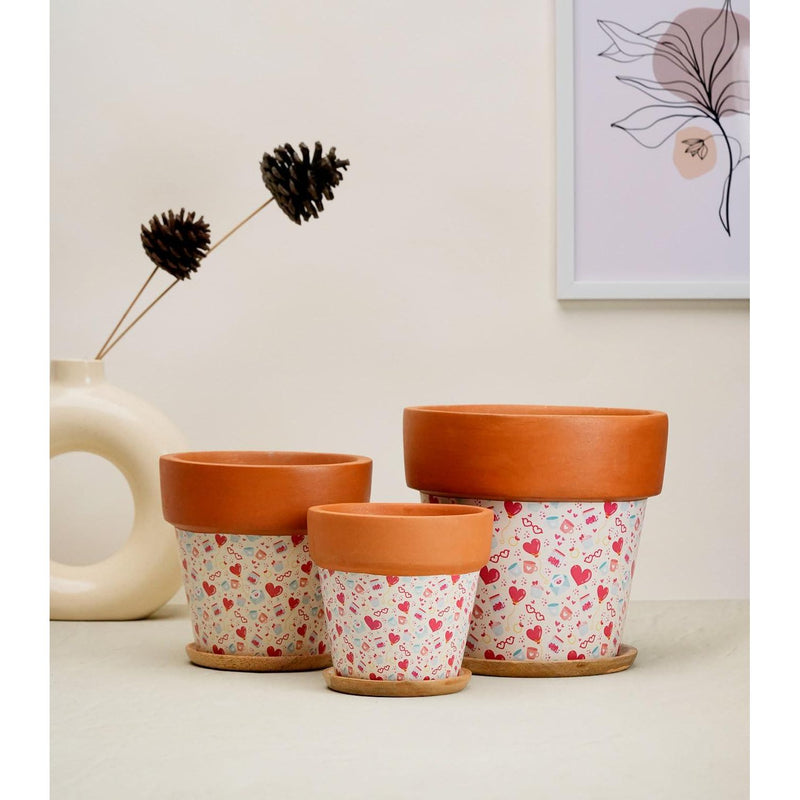 Terracotta Pots for Home Decor, Set of 3 with Wooden Bottom Trays - Inntinn.in