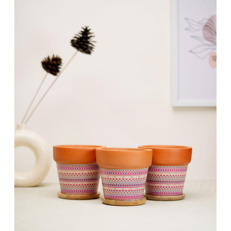 Terracotta Pots for Home Decor, Set of 3 with Wooden Bottom Trays - Inntinn.in