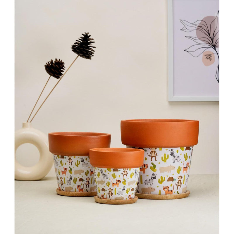 Terracotta Pots for Home Decor, Set of 3 with Wooden Bottom Trays - Inntinn.in